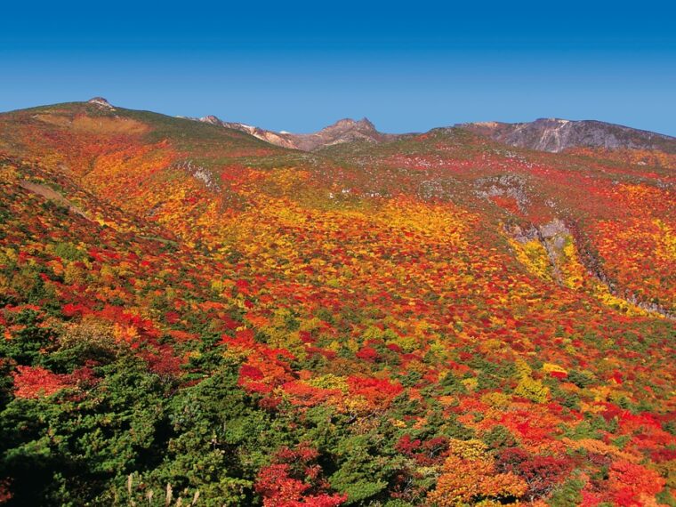 紅葉の安達太良山